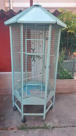 Voliera grandi dimensioni