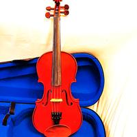 Violino