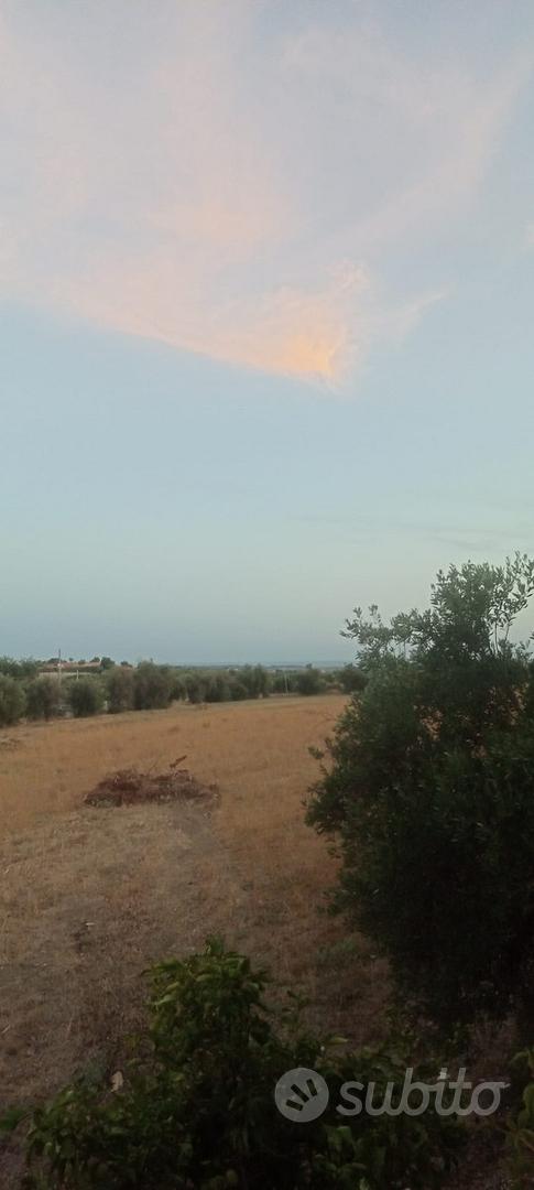 Terreno agricolo Ispica contrada Scorsone, 7300 mq - Vista 2