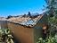 Immagine 18