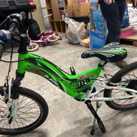 Mountain Bike Lion XMR 20"