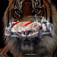 quadro moderno stampa NUOVO su tela BELVE 2026  cm