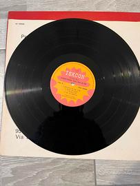 Rasa – Everything You See Is Me 33 giri vinile