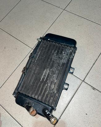 Radiatore scooter