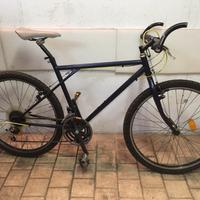 Montanbike MTB