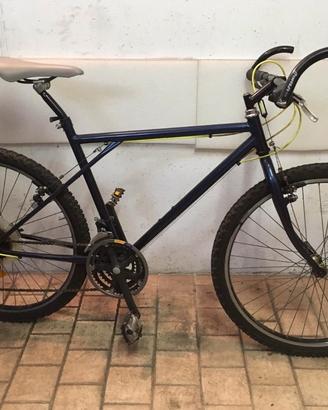 Montanbike MTB
