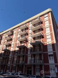 Quadrivano - Cagliari