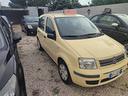 fiat-panda-1-2-dynamic