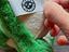 Immagine 4