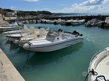 RANIERI SHADOW19 del 2019