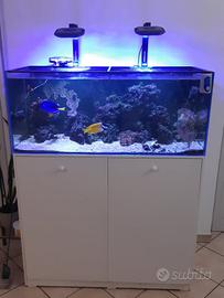 acquario marino 300L completo di tutti gli accesso