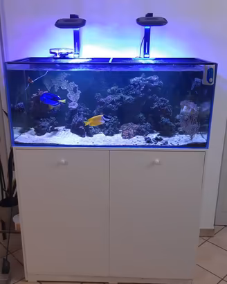 acquario marino 300L completo di tutti gli accesso