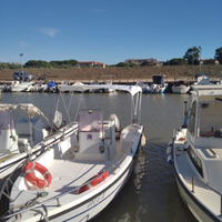 Pilotina fiart marea