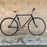 Bicicletta customizzata con passeggino hamax