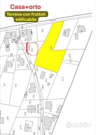 TERRENO EDIFICABILE E CASA