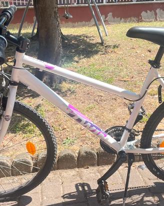 2 Biciclette