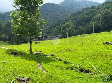 CASA INDIPENDENTE A RONCO CANAVESE