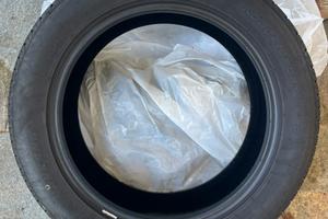 Gomme Nankang 225/55R18