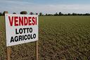 terreno-di-25190-m²-a-calvagese-della-riviera