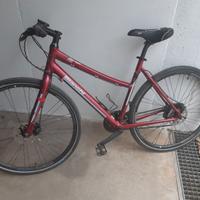 Bici donna bianchi