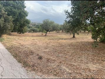 TERRENO EDIFICABILE 2.100 MQ – 2 LOTTI ADIACENTI