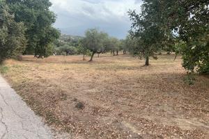 TERRENO EDIFICABILE 2.100 MQ – 2 LOTTI ADIACENTI
