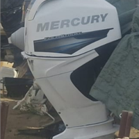 Fuoribordo Mercury 40/60