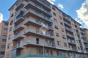 3 LOCALI A ROMA