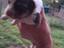 Immagine 6