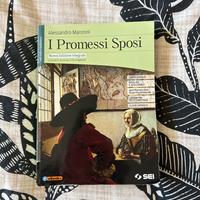 Libro “promessi sposi”