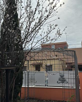 Gazebo zincato