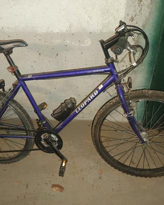 bicicletta