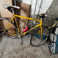 Bici da corsa