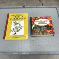 Coppia di libri giardinaggio e piante medicinali
