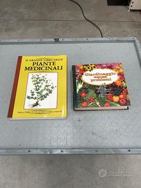 Coppia di libri giardinaggio e piante medicinali