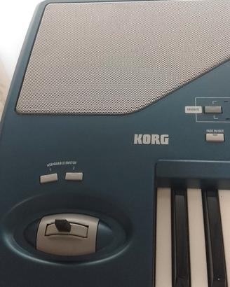 Korg Pa800 Professional Arranger - Unico Proprieta