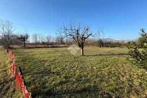 TER. AGRICOLO A RIVALTA DI TORINO