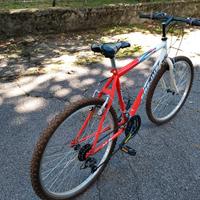 Mountain bike XL 26