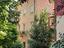 Immagine 6