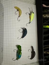 Crank Trout area lotto 2