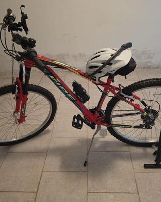 Mountain bike
