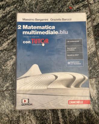 Matematica multimediale.blu 2