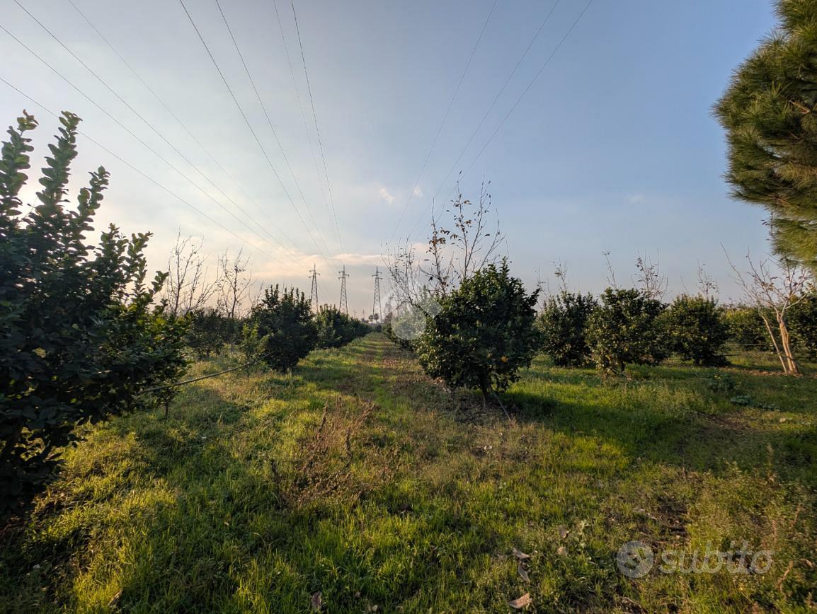 TERRENO A MADDALONI - Vista 5