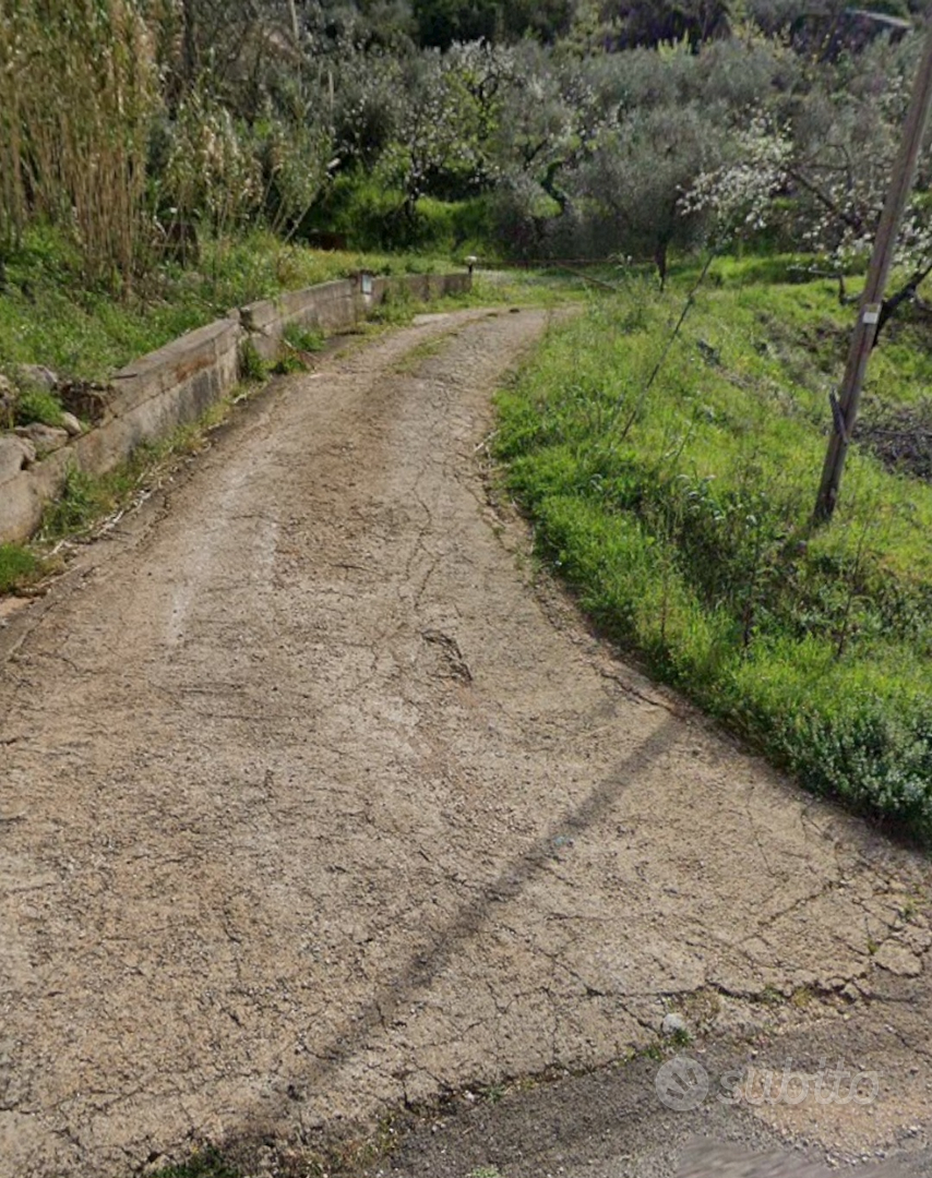 Terreno di 4539mq con uliveto secolare-Sonnino(LT) - Vista 2