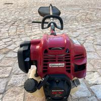 Decespugliatore
