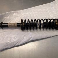 Ammortizzatore Ligier