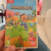 Minecraft per switch