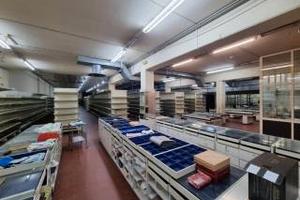 Capannone-Laboratoio mq 1.000. A BAGNOLO.R.Emilia