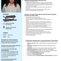 Segretaria professionale