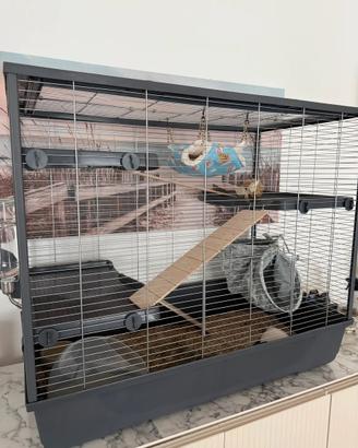 Gabbia per cincilla con accessori